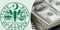 ملکی زرِ مبادلہ ذخائر 19 ارب 61 کروڑ ڈالر ہو گئے