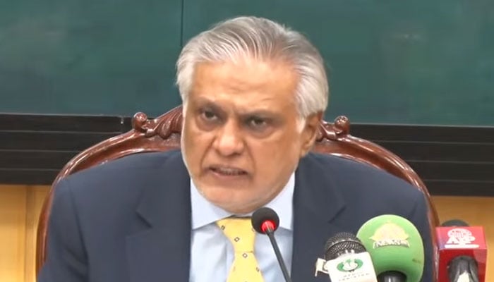 کافی سال کے بعد سیکیورٹی کونسل میں ہماری قرارداد متفقہ طور پر منظور ہوئی، اسحاق ڈار