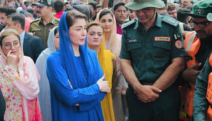 نئے ڈیمز سمیت جو کچھ کرنا پڑا کریں گے، مریم نواز