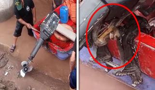 دریائے راوی میں امدادی کاموں میں مصروف لائف بوٹ میں سانپ گھس گیا