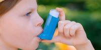 بچپن میں دمہ کی وجہ مختلف قسم کے چکنائی والے کھانوں سے منسلک ہے، تحقیق