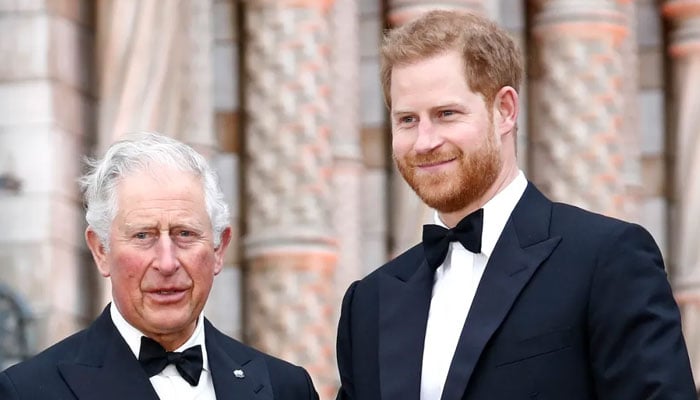 Prince Harry receives concerning update about King Charles meeting