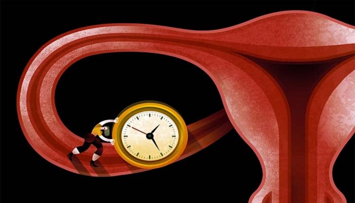 Estradiol patches help boost memory in postmenopausal women, study