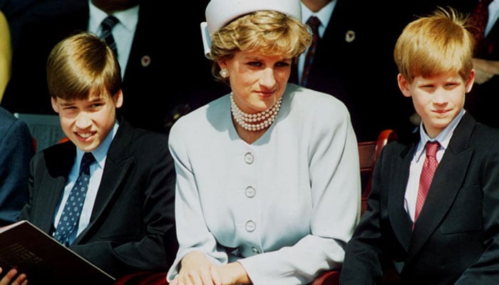 Prince William, Harrys supported charity marks Dianas 28th death anniversary