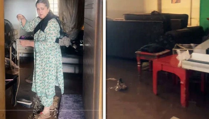 گلوکارہ و اداکارہ عارفہ صدیقی بھی سیلاب سے متاثر