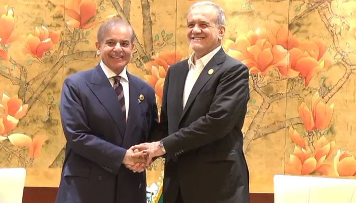 اسکرین گرین