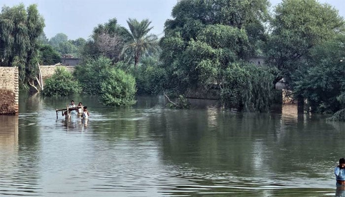 تصویر بشکریہ: یواین نیوز۔