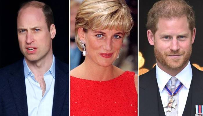 Prince Harry pushes for peace with Prince William after Diana ‘tribute’
