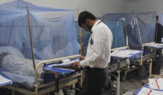 راولپنڈی: 24 گھنٹوں میں ڈینگی کے مزید 11 کیسز رپورٹ