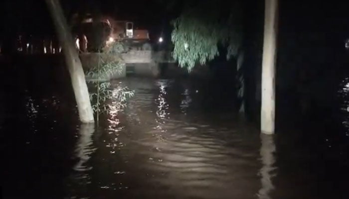 فائل فوٹو
