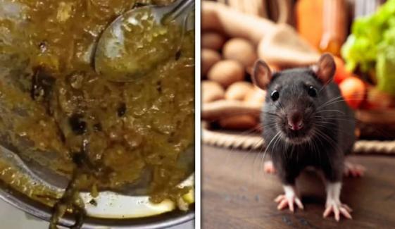 ڈھابے میں سالن سے مردہ چوہا برآمد، ویڈیو وائرل