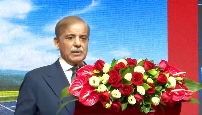 وزیراعظم شہباز شریف : فوٹو اسکرین گریب
