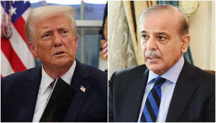 فائل فوٹو