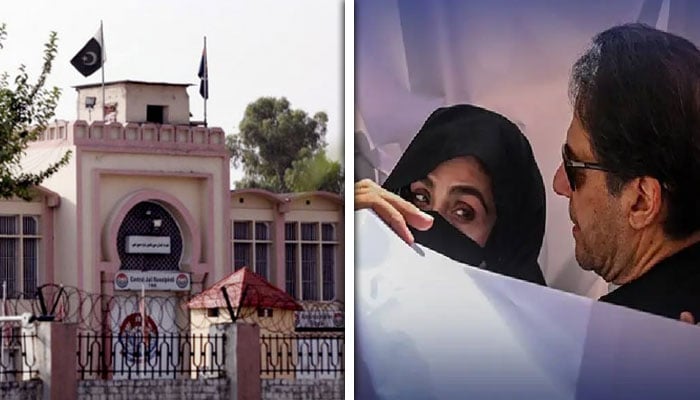 ---فائل فوٹوز