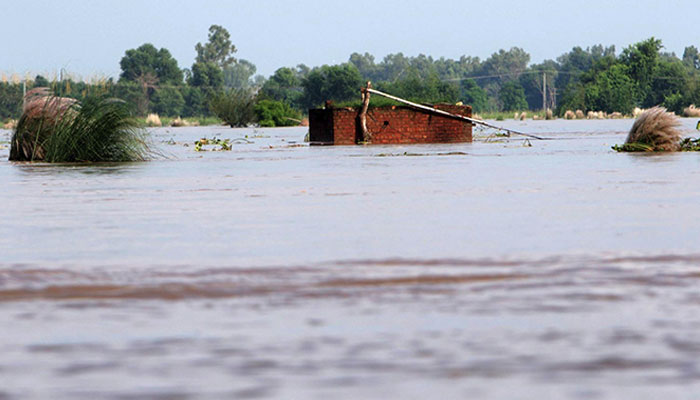 فوٹو: آئی این پی