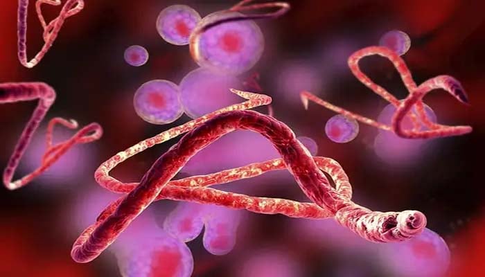 New Ebola virus outbreak confirmed in Congo