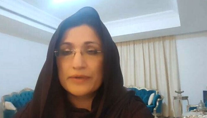 ڈراما لگایا ہوا ہے، سب بیوقوف بنے جا رہے ہیں، مریم وٹو