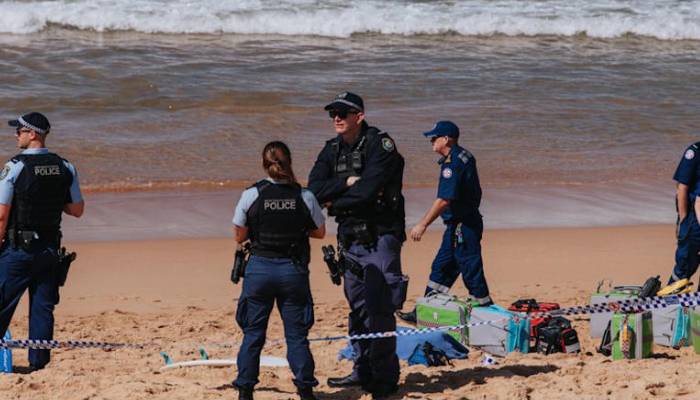 Sydney beach shark attack claims life of experienced surfer