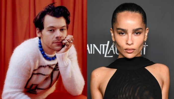 Harry Styles, Zoë Kravitz are having great time amid budding romance
