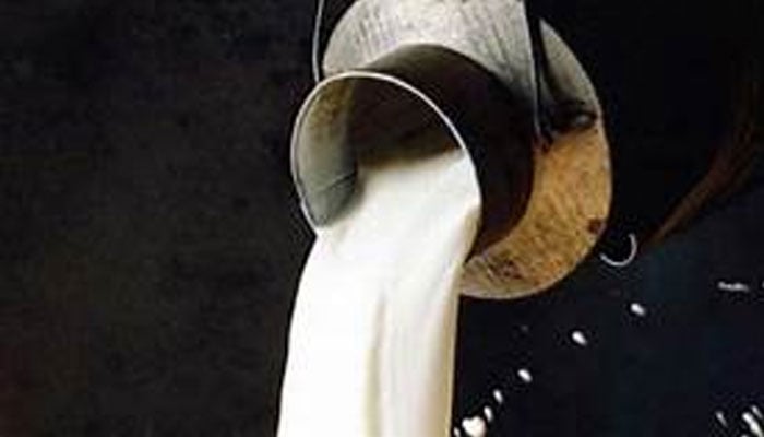 مری:فوڈ اتھارٹی کی کارروائیوں میں 700 لیٹر پانی ملا دودھ تلف