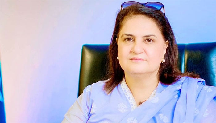 بے نظیر انکم سپورٹ پروگرام کی چیئرپرسن سینیٹر روبینہ خالد—فائل فوٹو