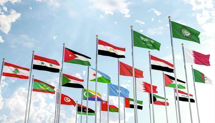 —تصویر بشکریہ غیر ملکی میڈیا