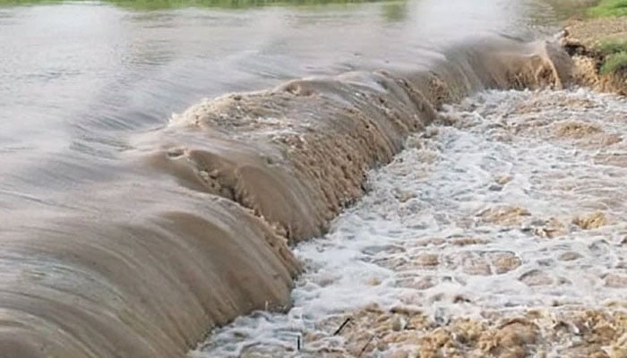 مظفر گڑھ: سیت پور میں 8 افراد ڈوب گئے، 2 کو بچا لیا گیا