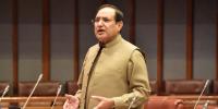 سینیٹر دلاور خان کی ٹیکس 5 فیصد کرنے کی تجویز 