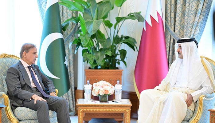 دوحہ میں وزیر اعظم شہباز شریف کی امیر قطر شیخ تمیم بن حمد الثانی سے ملاقات ہوئی،  فوٹو پی آئی ڈی
