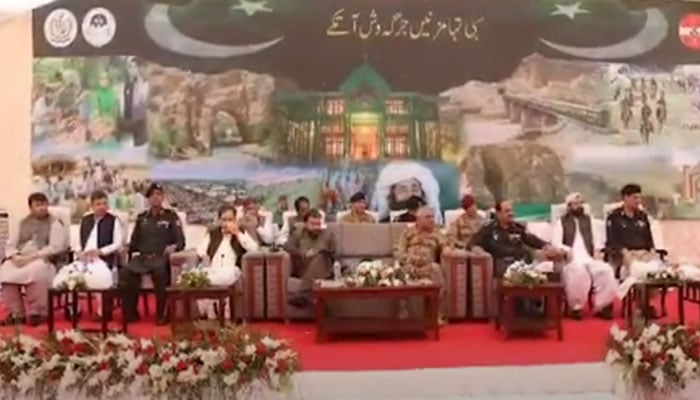 ویڈیو گریب۔