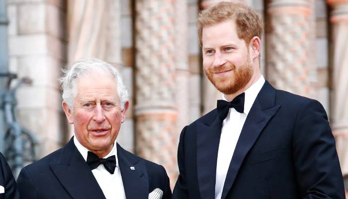 Prince Harry announced joyful news just hours before King Charles reunion