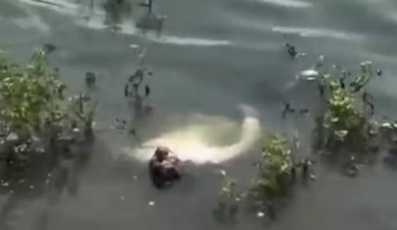 سوشل میڈیا کانٹینٹ بنانے کیلئے نوجوان لاش بن کر پانی پر تیرتا رہا