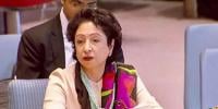 ’امریکا اگر اسرائیل پر دباؤ ڈالتا ہے تو ہی اسرائیل رک سکتا ہے‘