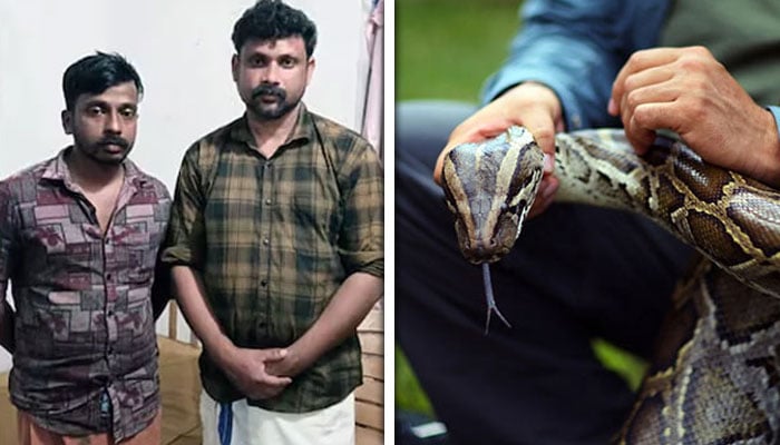 بھارت: اژدھے کا شکار کرنے اور اس کا گوشت پکانے کے الزام میں 2 افراد گرفتار