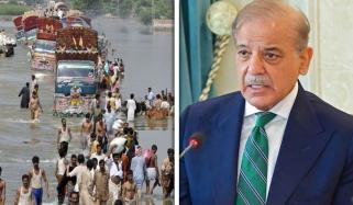 بجلی کے بلوں میں استثنیٰ کیلئے IMF سے رابطے کی ہدایت