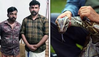 بھارت: اژدھے کا شکار کرنے اور اس کا گوشت پکانے کے الزام میں 2 افراد گرفتار