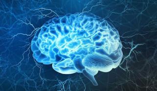 موسیقی انسان کے دماغی افعال کو بہتر بناتی ہے