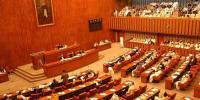پی پی نے سینیٹ میں سیلاب، زرعی ایمرجنسی سے متعلق قرارداد جمع کرادی 