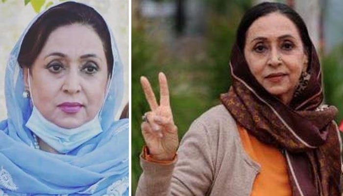 سابق ایم پی اے رائے فردوس—فائل فوٹو