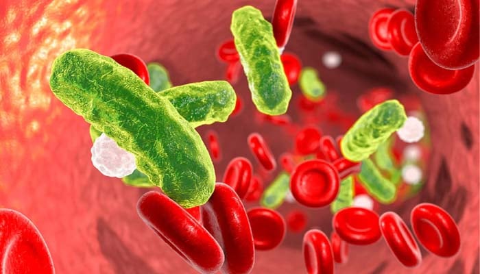 World Sepsis Day: Doctor urges to recognise symptoms before it becomes fatal