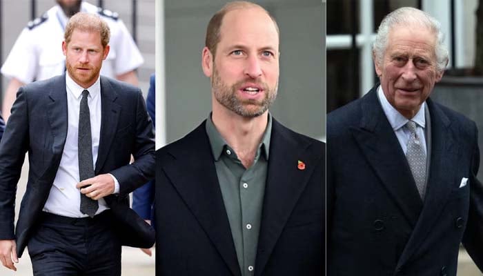 King Charles, Prince William receive subtle message from Harry after UK trip