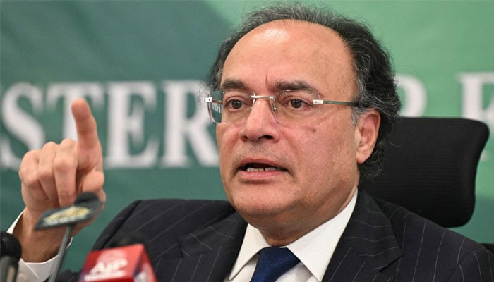 وفاقی وزیرِ خزانہ سینیٹر محمد اورنگزیب—فائل فوٹو