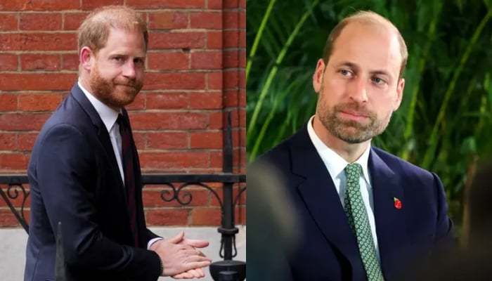 Did Prince William plan to outshine Prince Harry on his UK trip?
