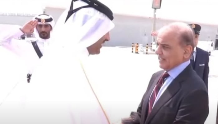 فوٹو: اسکرین گریب