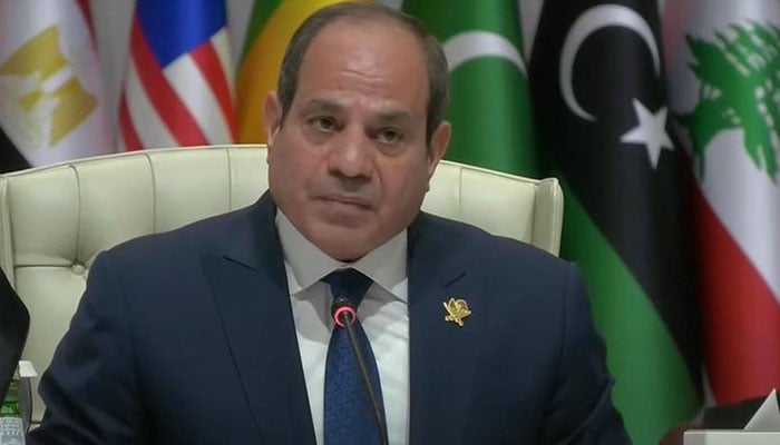 اسرائیل عالمی امن کیلئے سنگین خطرہ بن گیا ہے، مصری صدر