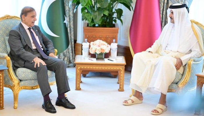 پاکستان مشکل وقت میں قطر کے ساتھ کھڑا ہے: وزیراعظم شہباز شریف