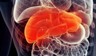 سائنسدانوں نے جگر کی مہلک بیماری کی اہم وجہ دریافت کرلی