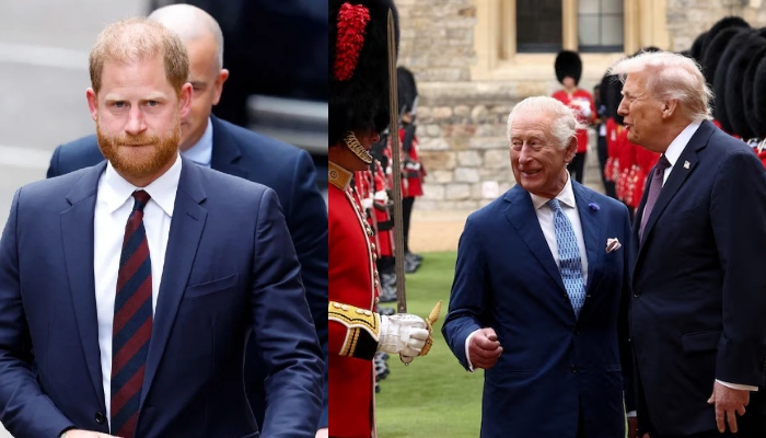 Prince Harry snubbed by Trump as William, Kate praised in State Banquet Speech