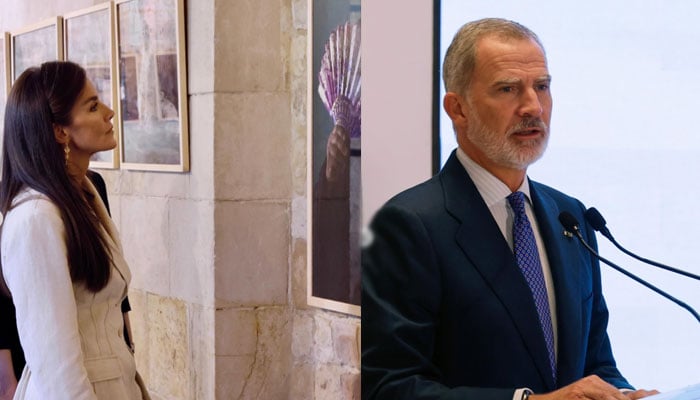 Royal Family shares peeks into day 3 of Queen Letizia, King Felipe’s Egypt trip