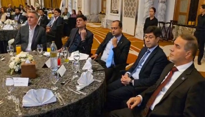 بطور سفارتکار میرا مشن ہمیشہ پاکستان اور امارات کے تعلقات بہتر بنانا رہا: فیصل ترمذی
